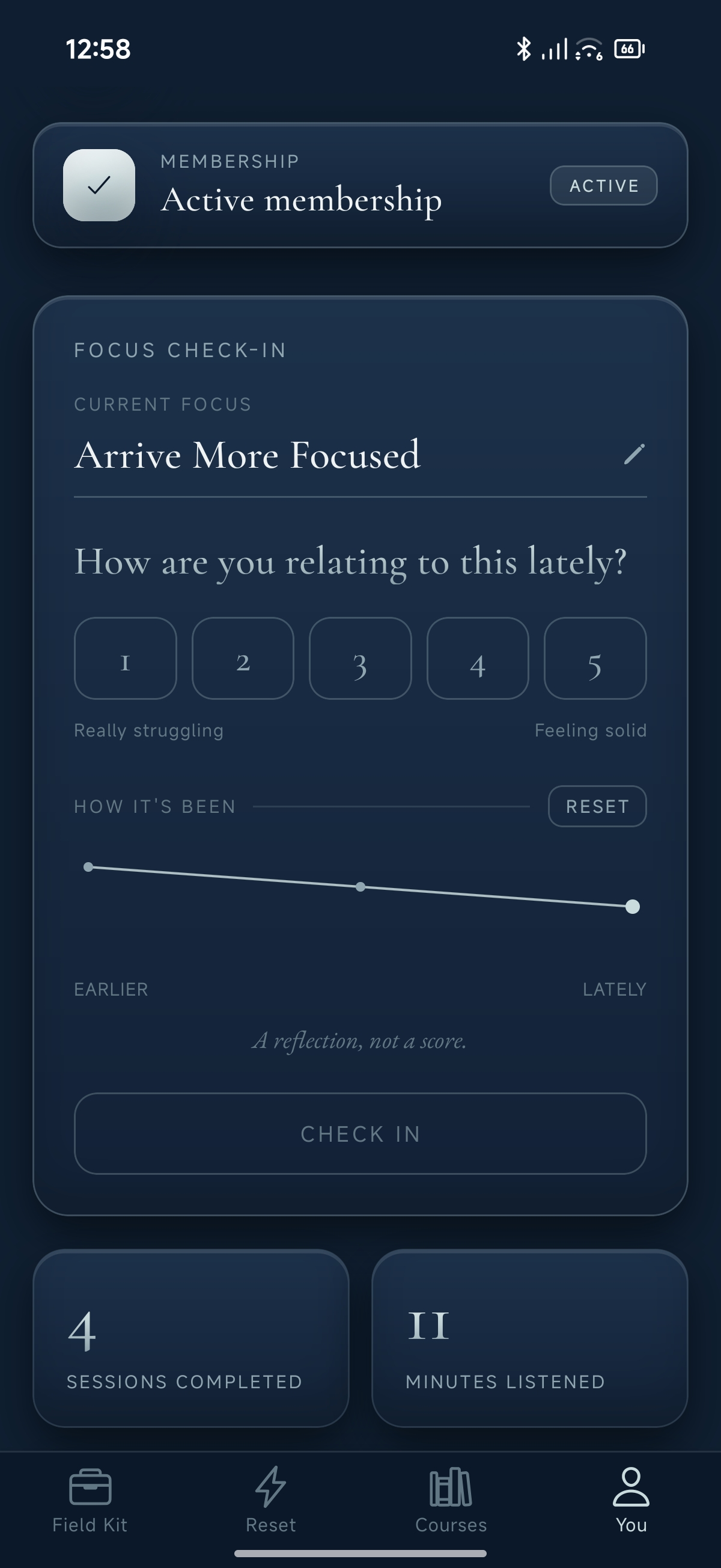 Seeking Balance — Focus Check-In