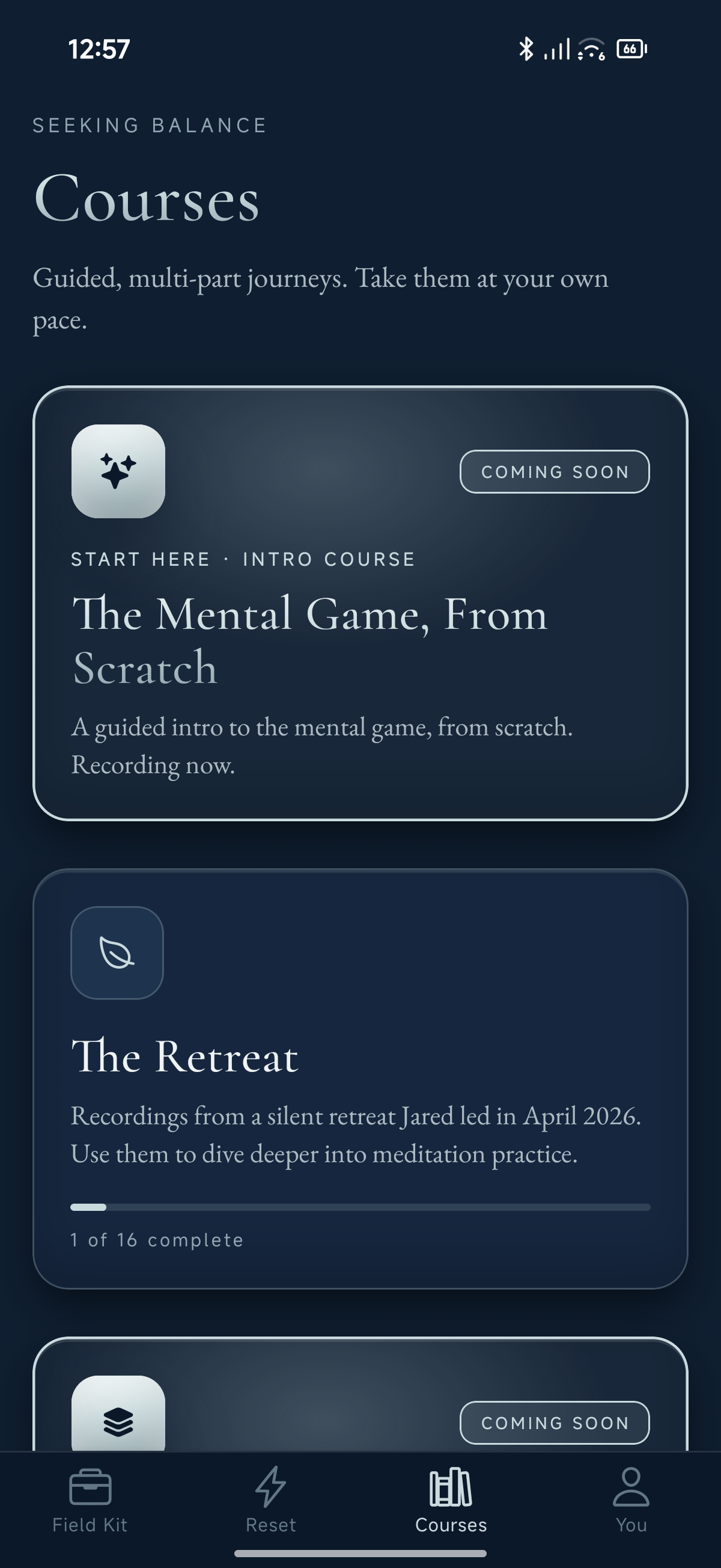 Seeking Balance — Courses