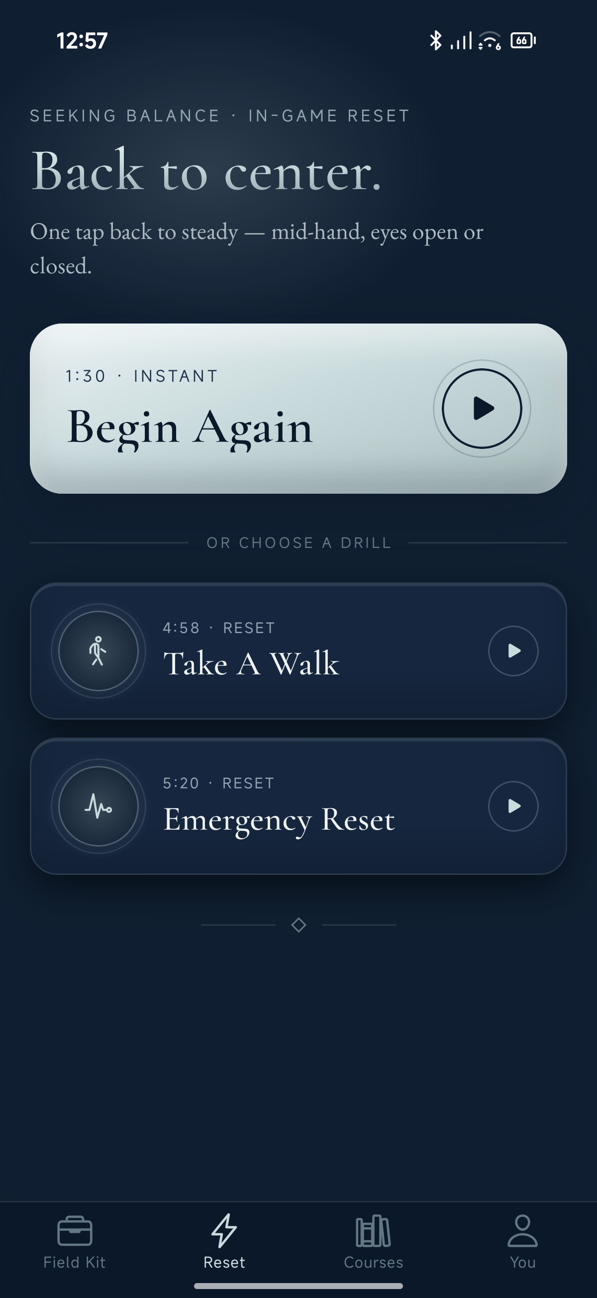 Seeking Balance — In-Game Reset